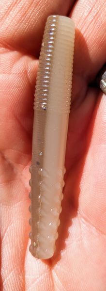 Baitfish Nedz - Image 4
